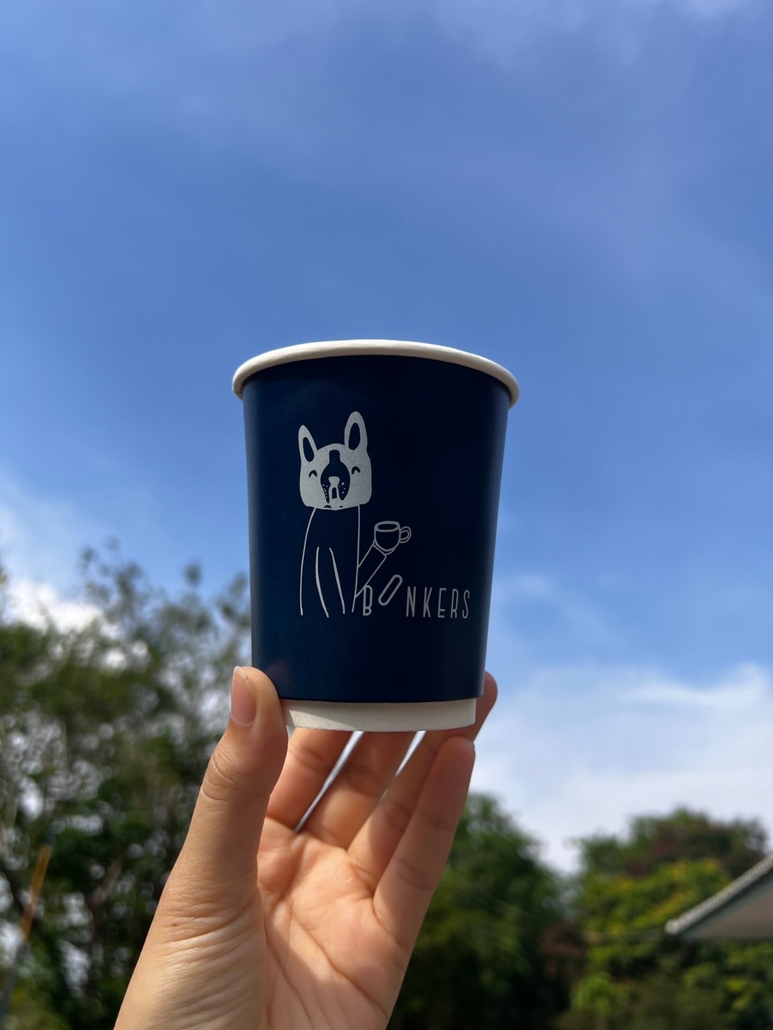 แก้วกระดาษกันร้อน 2 ชั้น Double Wall 8 oz.