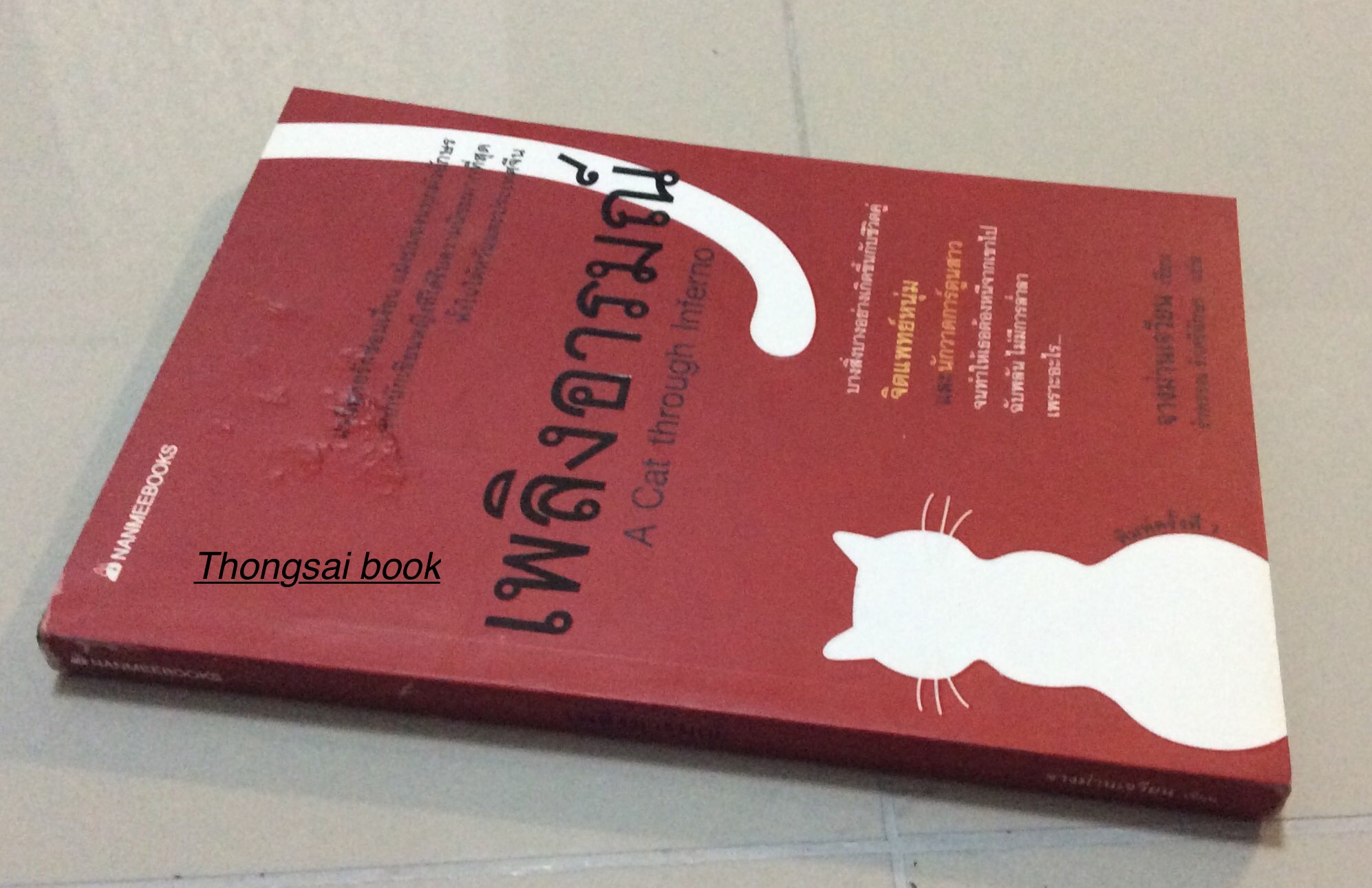 เพลิงอารมณ์ A Cat through Infermo จางม่านเจวียน เขียน รำพรรณ รักศรีอักษร แปล