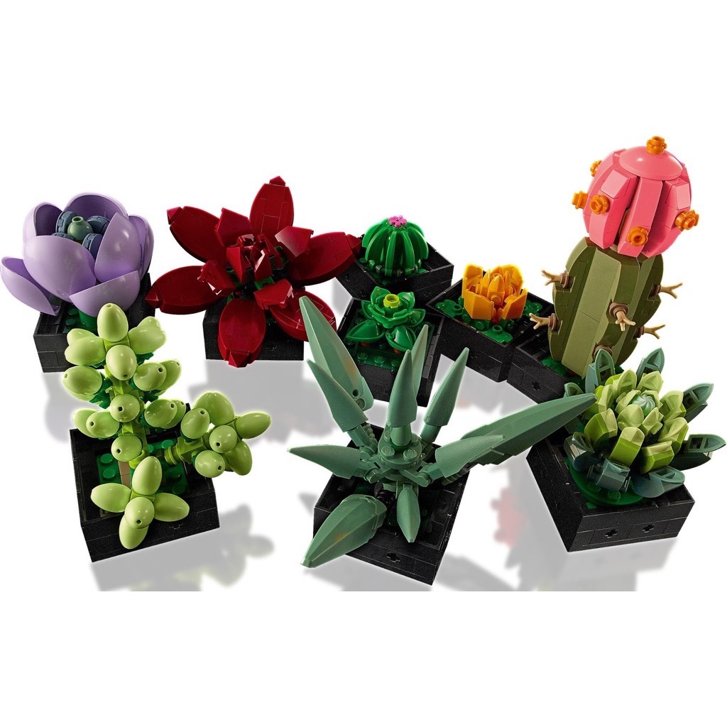 เลโก้ LEGO Exclusives 10309 Succulents