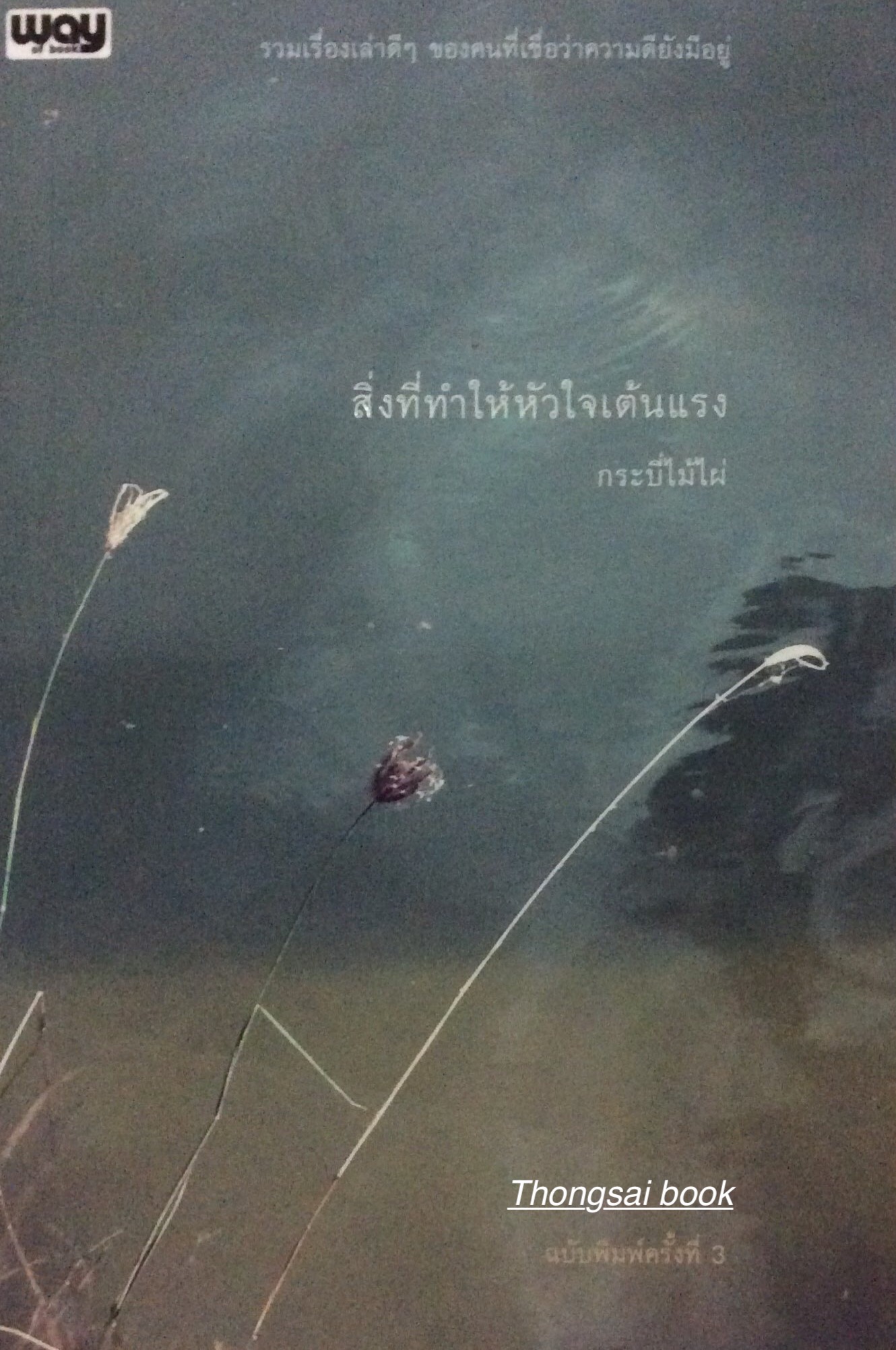 สิ่งที่ทำให้หัวใจเต้นแรง กระบี่ไม้ไฝ่ รวมเรื่องเล่าดีๆ ของคนที่เชื่อว่าความดียังมีอยู่