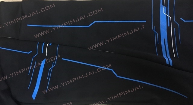 ตัวอย่างเสื้อฮู้ด AEC