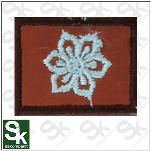ชำนาญการ พิเศษ(ดอกสัก) สีน้ำตาล