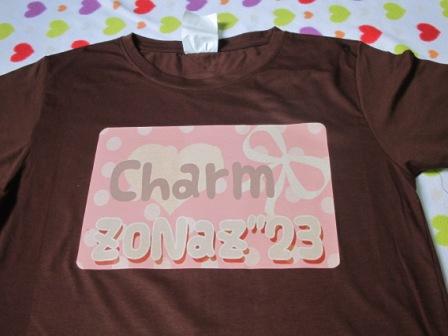 เสื้อยืดสกรีน DIY