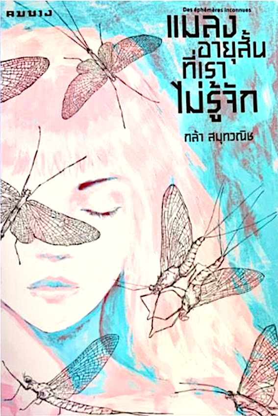 แมลงอายุสั้นที่เราไม่รู้จัก กล้า สมุทวณิช