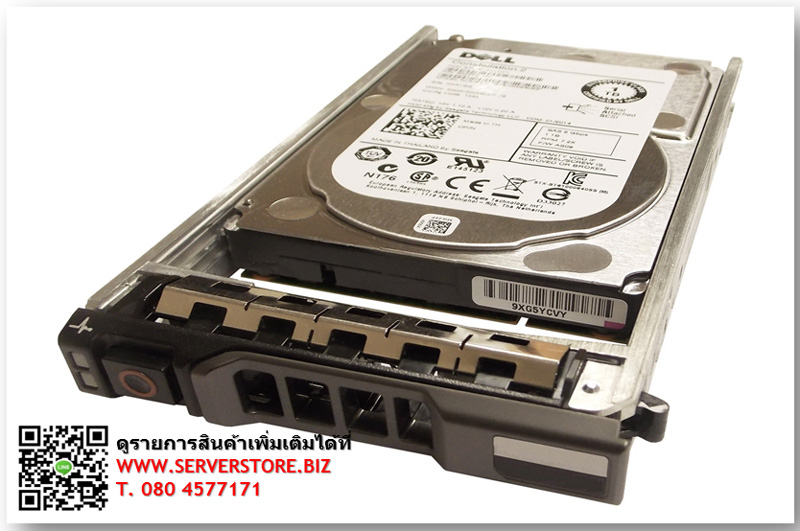 400-25170 [ขาย จำหน่าย ราคา] Dell 300-GB 6G 15K 2.5 SP SAS Hdd w/G176J