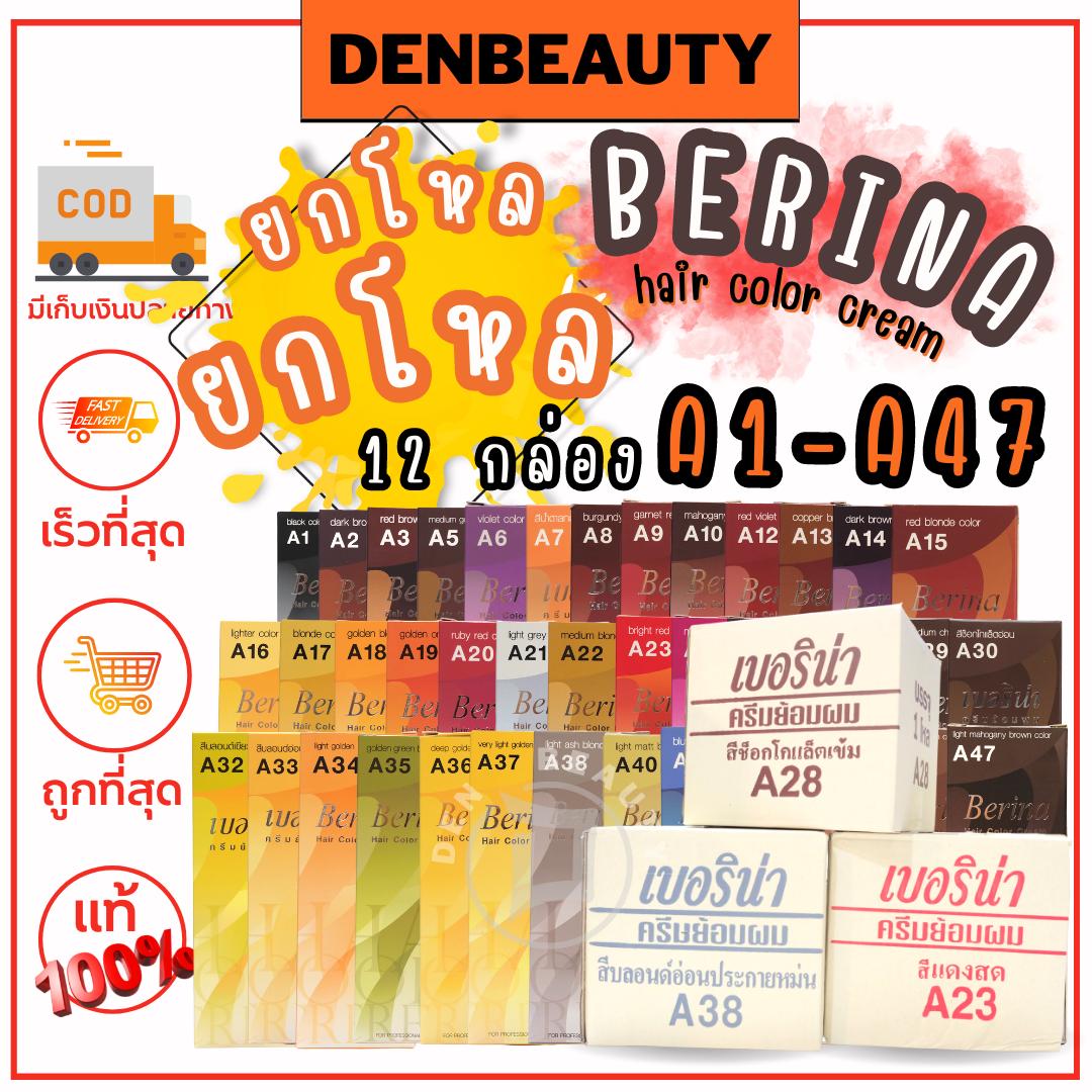 (1โหล) berina hair coloe cream เบอริน่า ครีมย้อมผมเบอริน่า