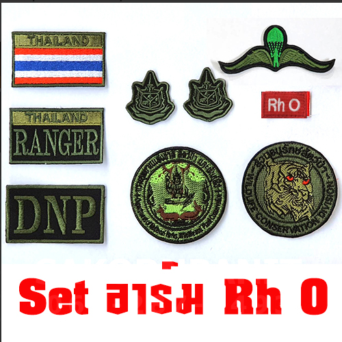 ชุดอาร์ม กรุ๊ปเลือด /ส่วนสัตว์ป่า สีเขียว (โปรโมชั่น)