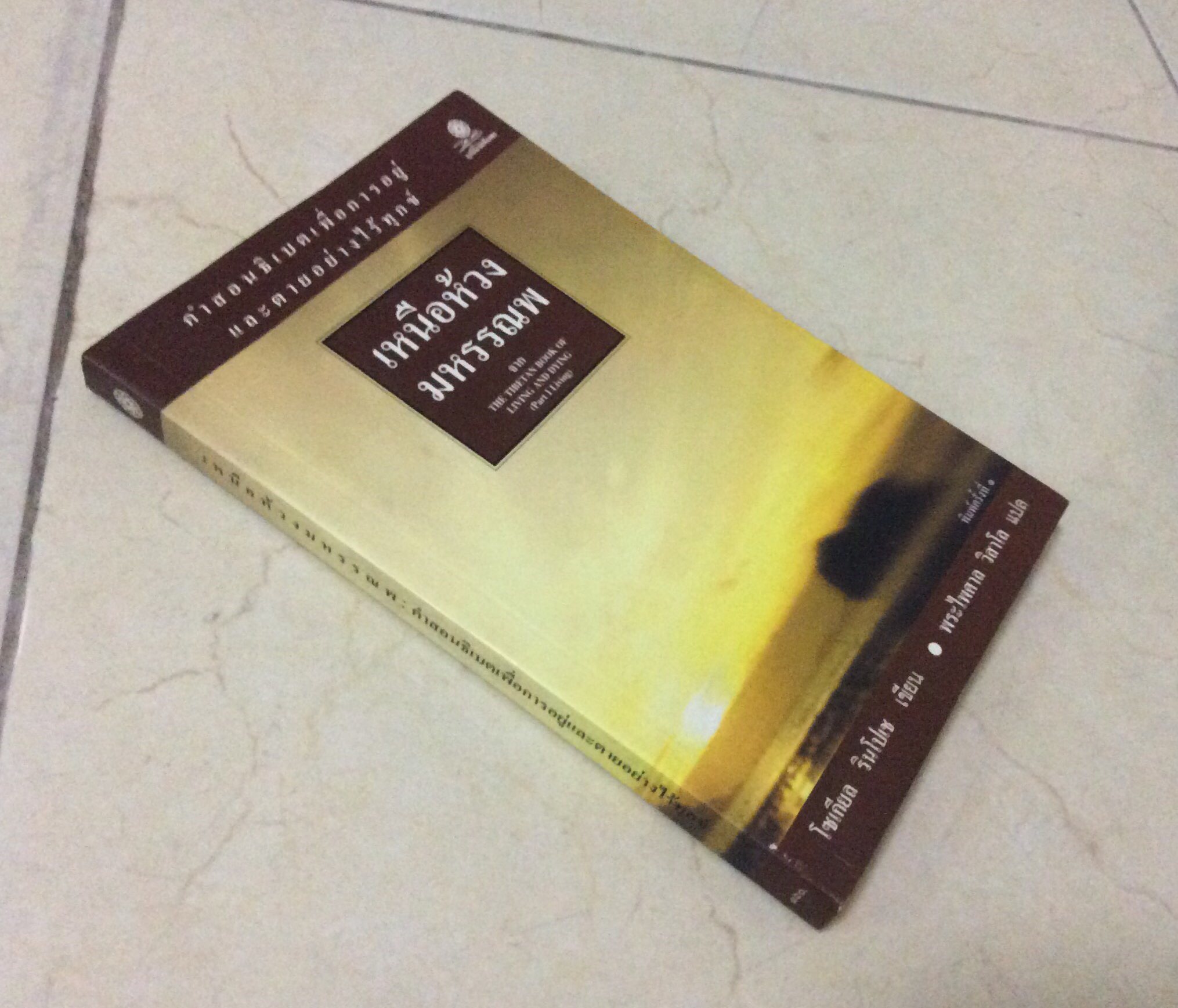 เหนือห้วงมหรรณพ จาก The Tibetan Book of Living And Dying ( Part I Living) คำสอนธิเบตเพื่อการอยู่และตายอย่างไร้ทุกข์ โซเกียล รินโปเช เขียน พระไพศาล วิสาโล แปล