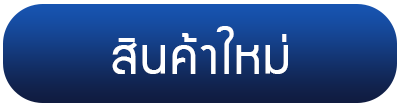 สินค้าใหม่
