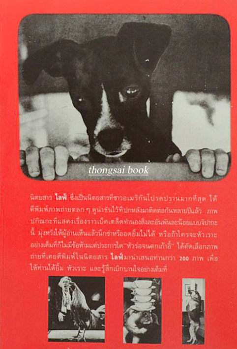 หัวร่อจนตกเก้าอี้ Life Laughs Last ฟิลิป บี. คุนฮาดต์ จูเนียร์ รวบรวม ศิขริน ปีตะวัน แปล