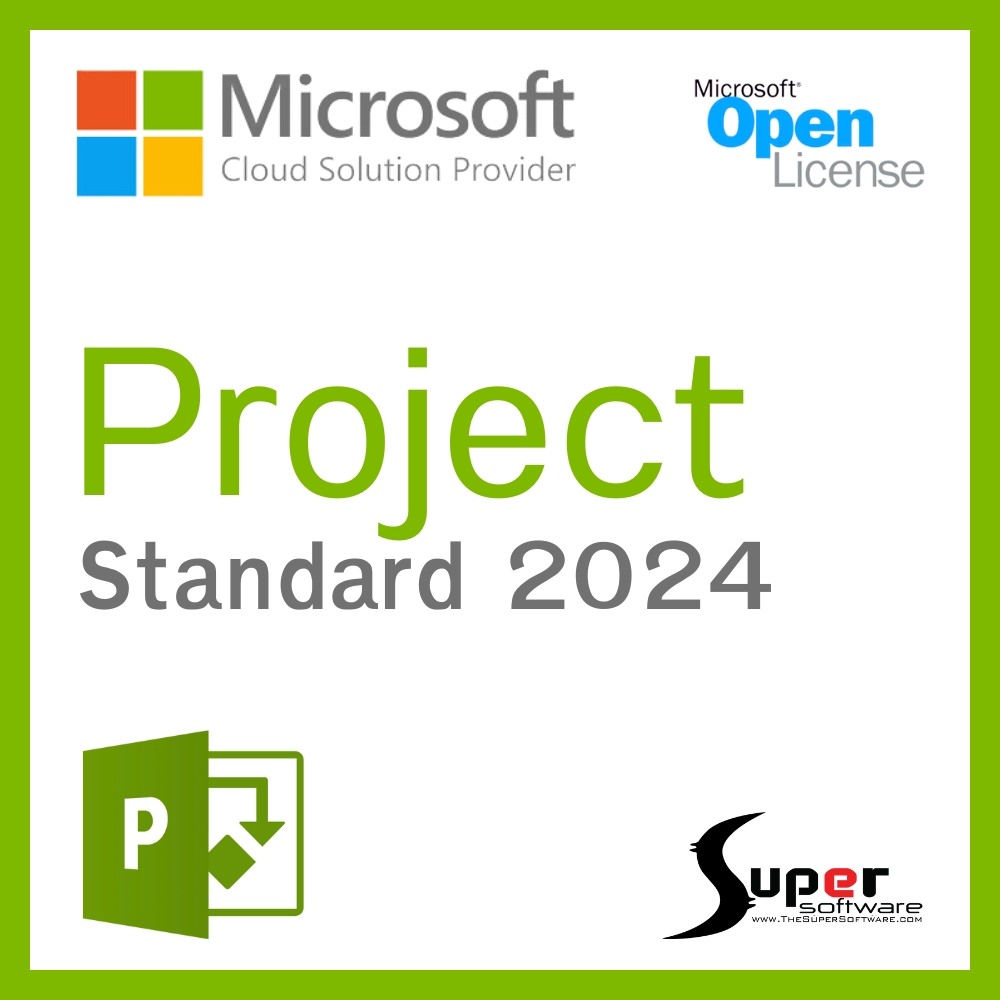 Project Standard 2024 Commercial (Perpetual on CSP)
