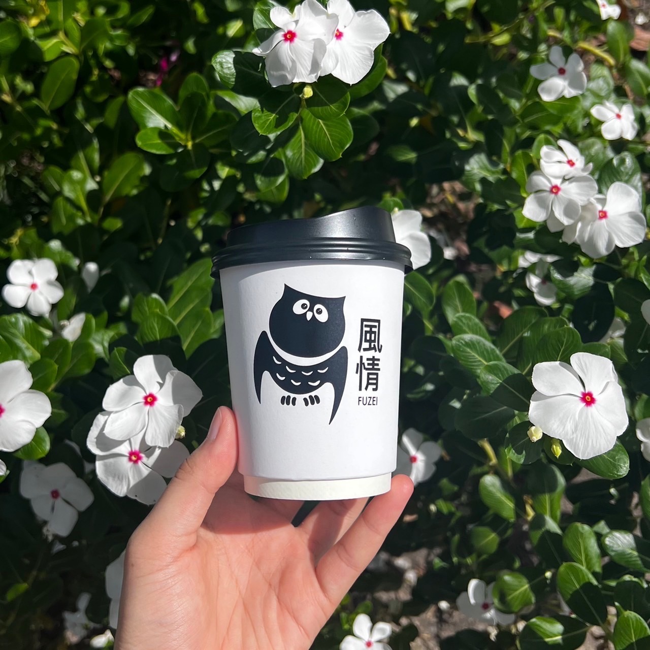 แก้วกระดาษกันร้อน 2 ชั้น Double Wall 8 oz.