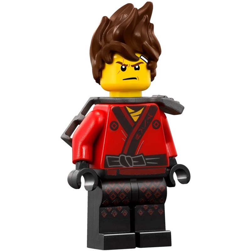LEGO Ninjago 70608 Master Falls