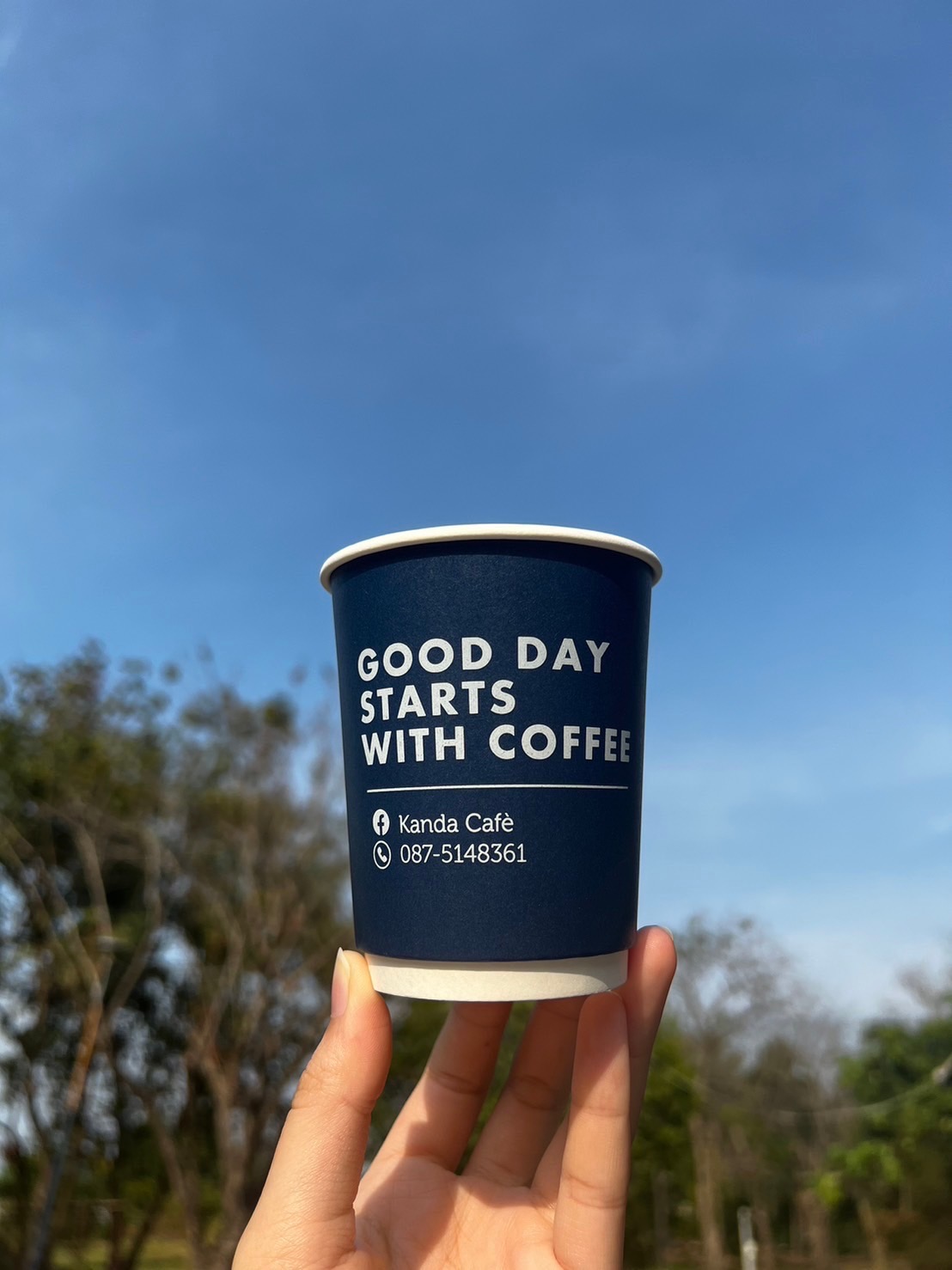 แก้วกระดาษกันร้อน 2 ชั้น Double Wall 8 oz.