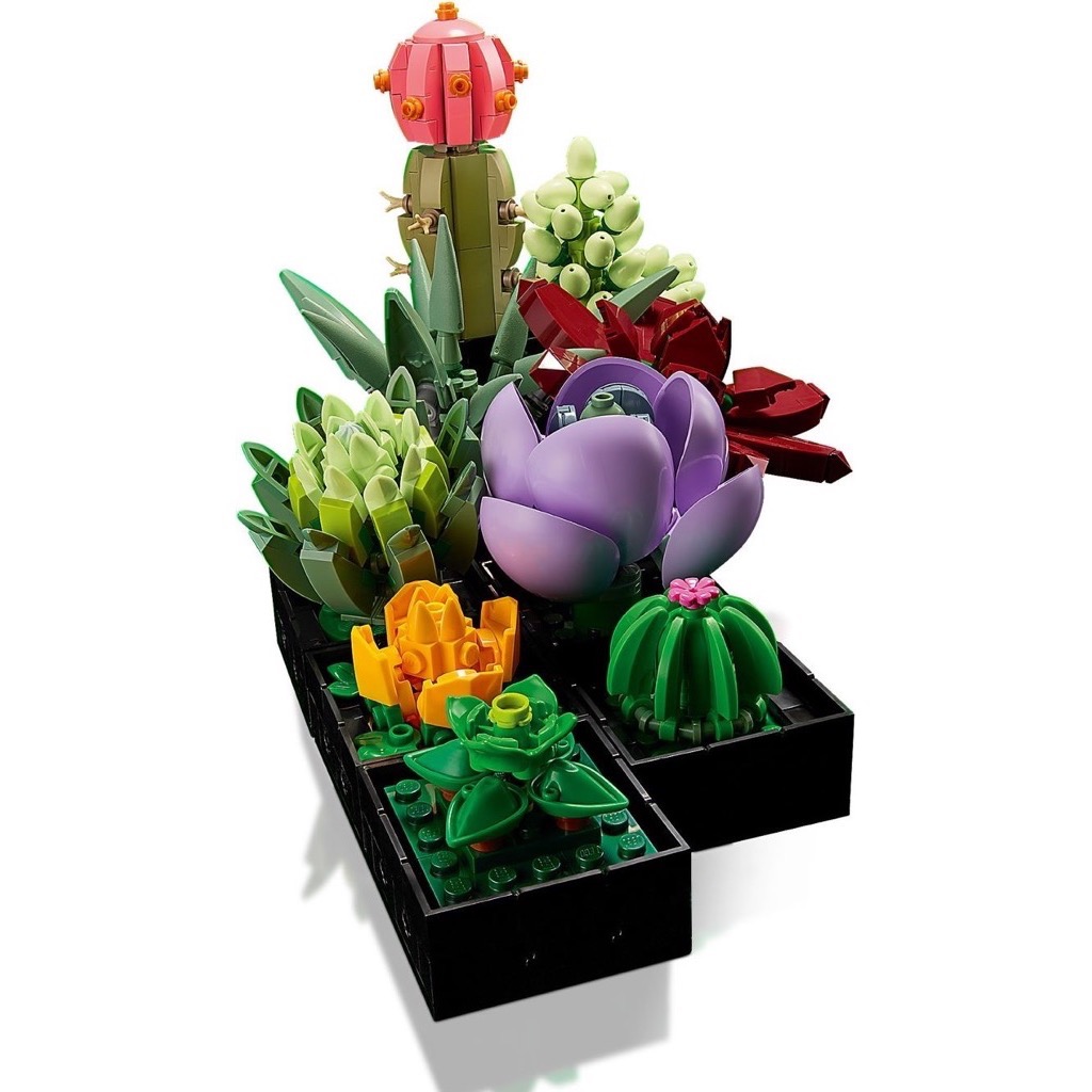 เลโก้ LEGO Exclusives 10309 Succulents