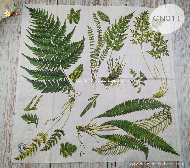 กระดาษแนปกิ้น ลายใบเฟิร์นหลายชนิด ลายใบไม้ พื้นหลังสีขาว