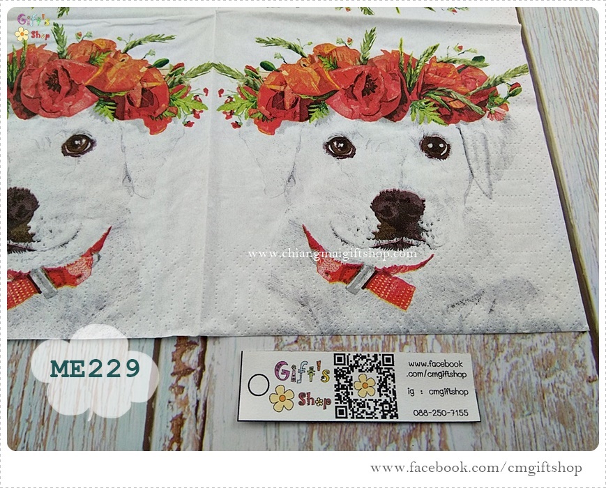กระดาษแนปกิ้นยุโรป, Enzo's Spring, ลายน้องหมาสีขาวใส่มงกุฏดอกไม้สีแดง, ลายน้องหมา, ลายหมาสีขาว, ดอกไม้สีแดง, ลายหมากับดอกไม้, พื้นหลังสีขาว