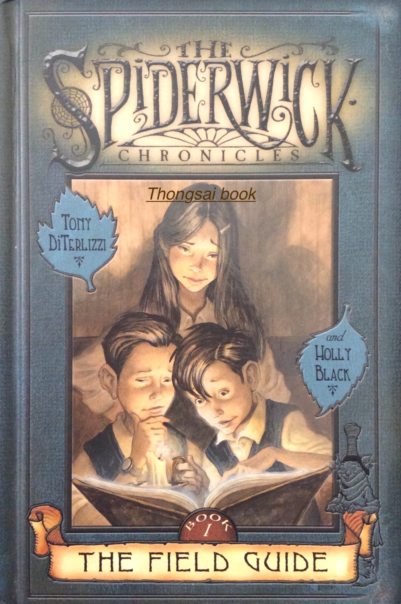 The Spiderwick Chronicles book 1 Tomy Direrlizzi and Holly Black