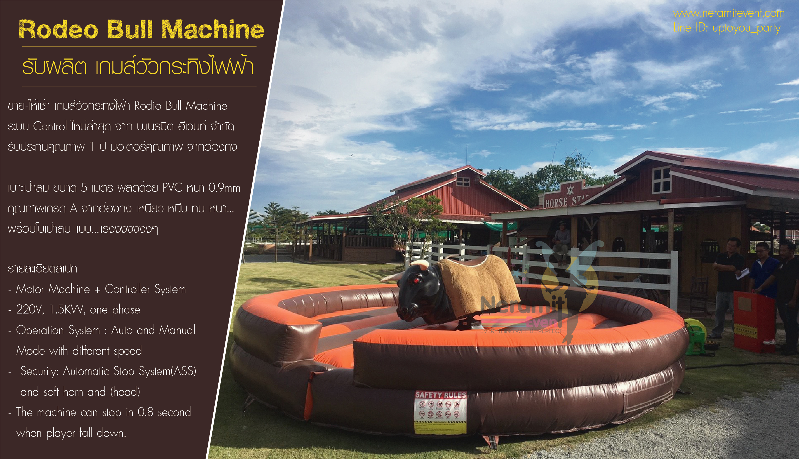 ขายวัวกระทิงไฟฟ้า ,rodeo bull ,วัวพยศ ราคาถูก