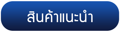สินค้าแนะนำ