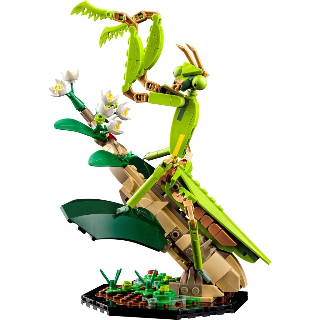เลโก้ LEGO Exclusives 21342 Ideas - The Insect Collection