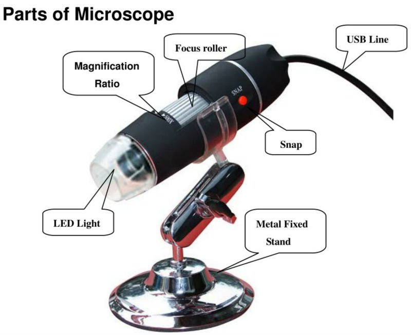 Camera Usb Microscope 500x