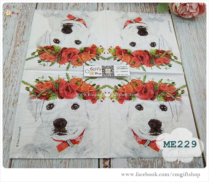 กระดาษแนปกิ้นยุโรป, Enzo's Spring, ลายน้องหมาสีขาวใส่มงกุฏดอกไม้สีแดง, ลายน้องหมา, ลายหมาสีขาว, ดอกไม้สีแดง, ลายหมากับดอกไม้, พื้นหลังสีขาว