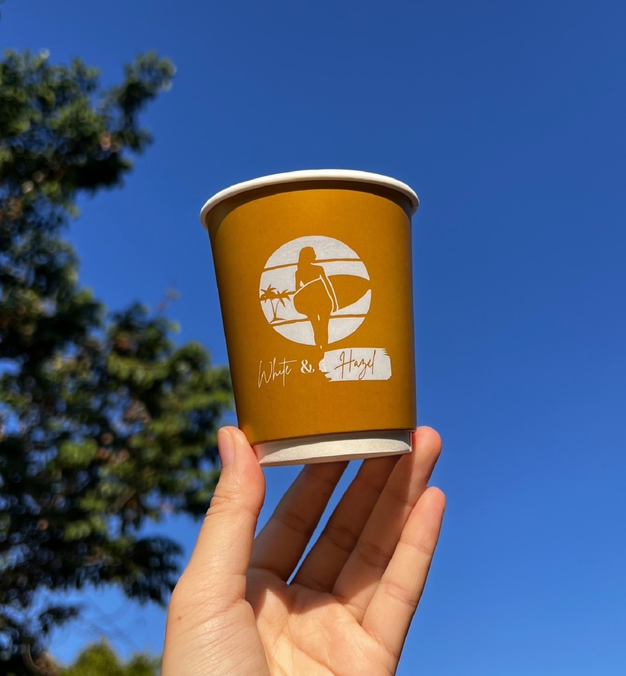 แก้วกระดาษกันร้อน 2 ชั้น Double Wall 8 oz.