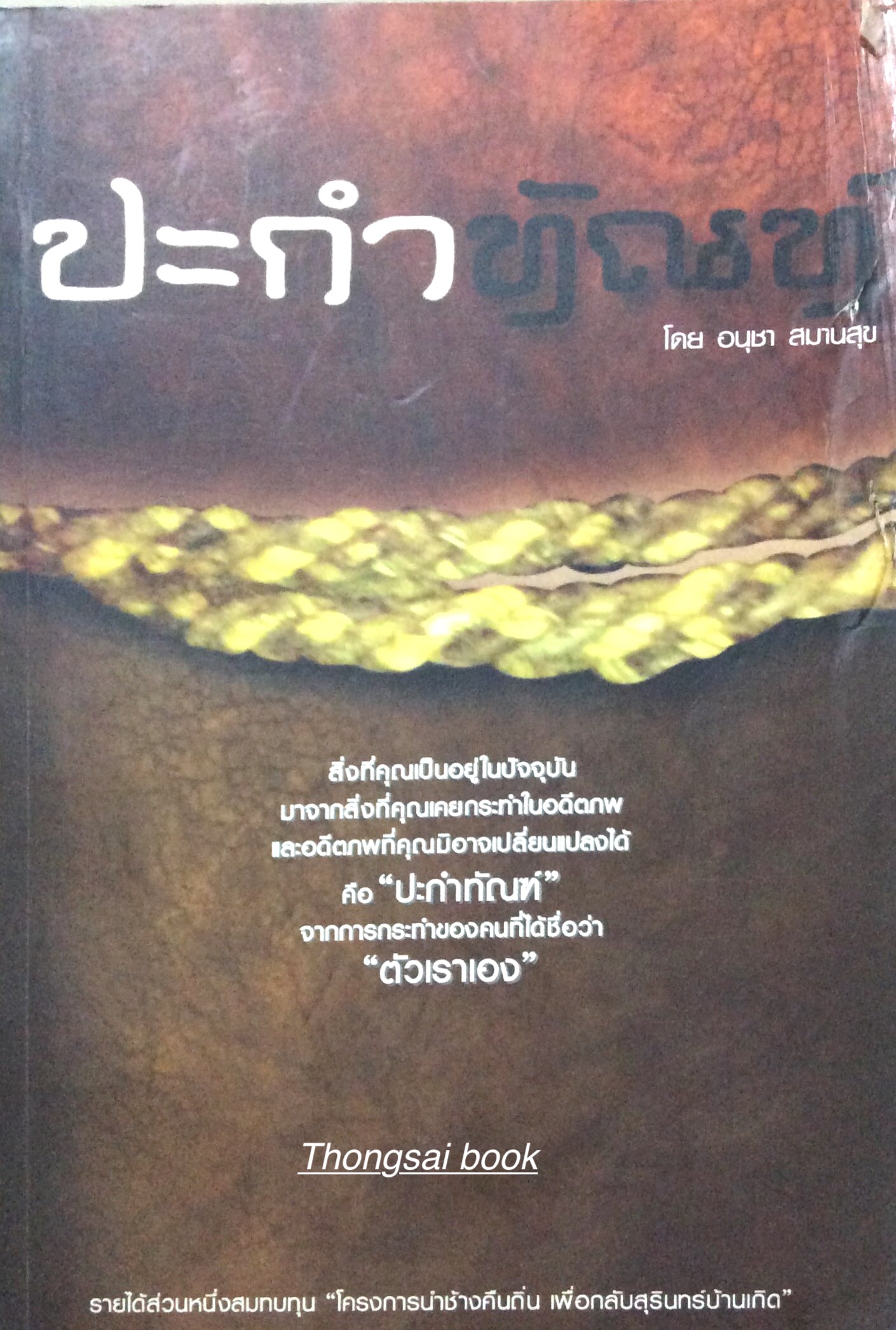 ปะกำทัณฑ์ นวนิยายโดย อนุชา สมานสุข หนังสือตำหนิ