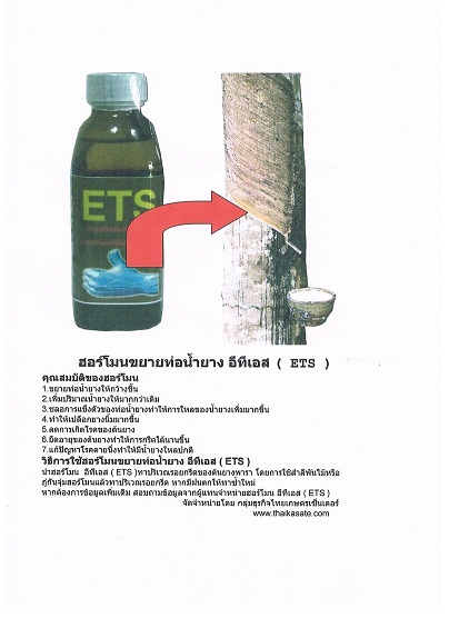 เพิ่มน้ำยางพารา ด้วยฮอร์โมนจากธรรมชาติ