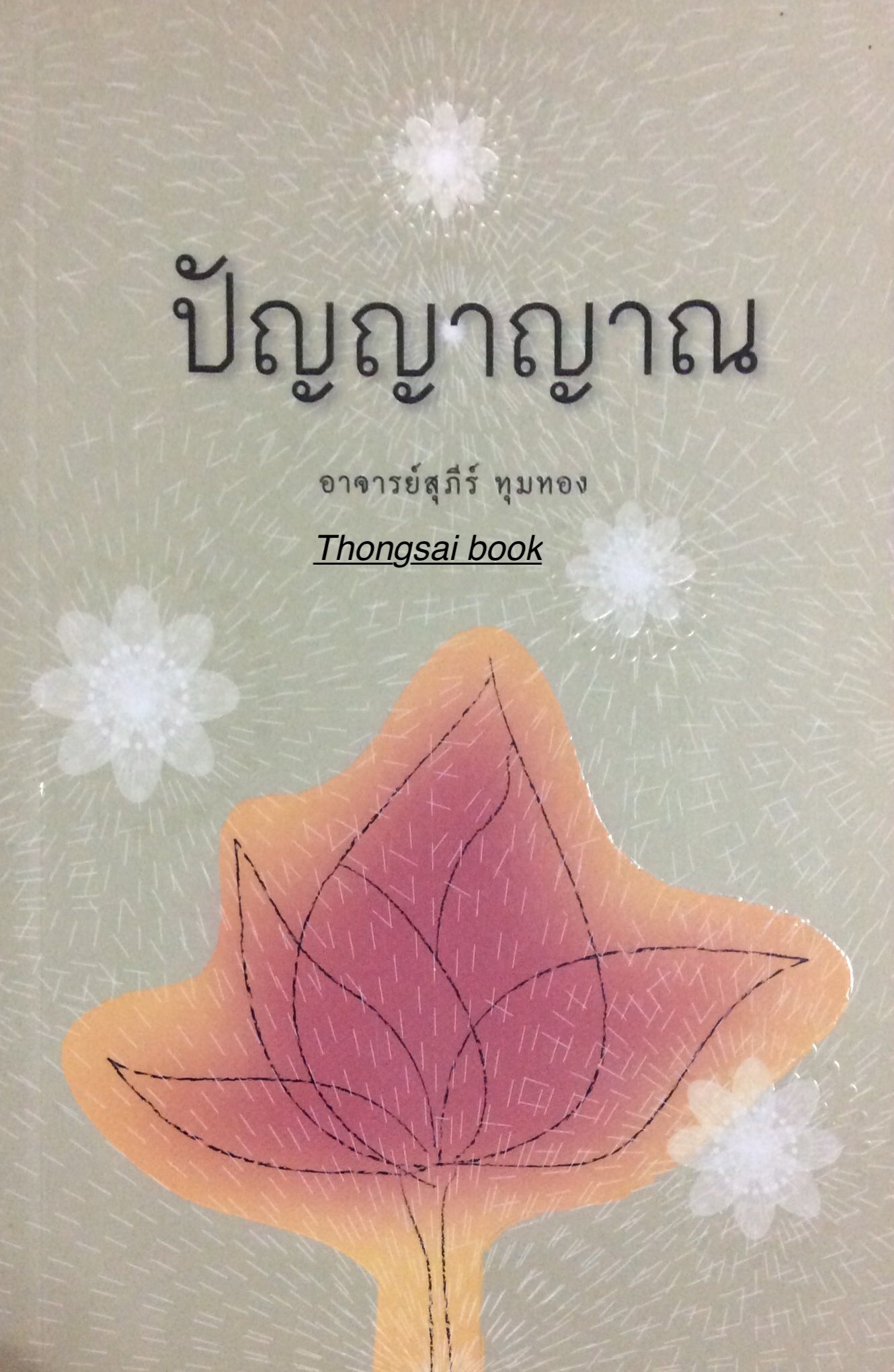 ปัญญาญาณ อาจารย์สุภีร์ ทุมทอง