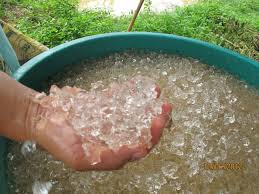 สารอุ้มน้ำปลูกพืชไม่ต้องรดน้ำบ่อย