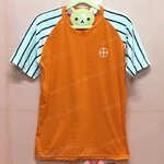 เสื้อยืด สีแสด แขนสั้นลายม้าลาย ซิปดำ สกรีนตามสั่ง Power to Change