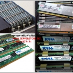 YY120 [ขาย จำหน่าย ราคา] Dell 512MB 667MHz PC2-5300F Memory