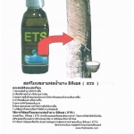 เพิ่มน้ำยางพารา ด้วยฮอร์โมนจากธรรมชาติ