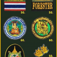 ชุดDN-W2V /FORESTER