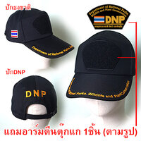 หมวก (ปักหลังDNP) พร้อมอาร์ม DNP-ธงชาติ