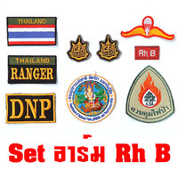 ชุดกรุ๊ปเลือด Rh-B /แบบตีนตุ๊กแก