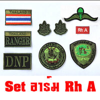 ชุดกรุ๊ปเลือด Rh-A /แบบตีนตุ๊กแก