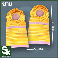 ชำนาญการ/ชำนาญการพิเศษ (ชาย)