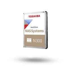 Toshiba HDD 10 TB N300 NAS (7200RPM, 256MB, SATA-3)