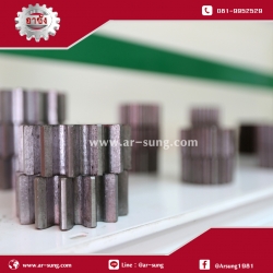 SK21 เฟืองขบ