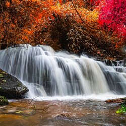 วอลเปเปอร์ภาพพิมพ์ ภาพวิวน้ำตก WTF-0005