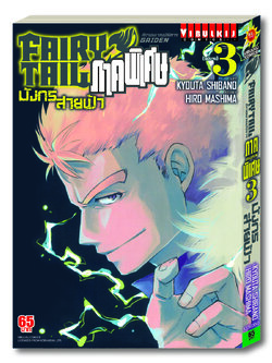 FAIRY TAIL GAIDEN ภาคพิเศษ เล่ม 3 (จบ)