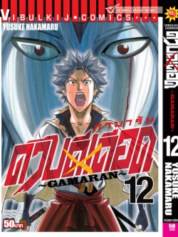 ดาบดีเดือด เล่ม 12