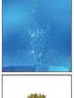 หัวน้ำพุสามชั้นทองเหลือง ขนาด 0.5 นิ้ว (จิ๋ว) - King Star > MARS มาร์ส (หัวสามชั้น)