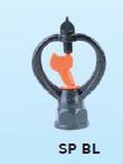 SP BL