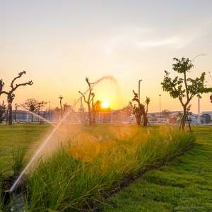 การวางระบบสปริงเกอร์ สวนสาธารณะ พื้นที่ 40 ไร่ สวนสมเด็จ ท่าเรือแหลมฉบัง โดยใช้หัวประเภท Pop Up Rotator รุ่น Turbo 3 ยี่ห้อ Weathermatic