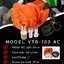 ปั๊มน้ำมัน MIZUNO YTB-100 AC
