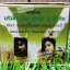 ครีมยูไนซ์ U NICE Cream สูตรน้ำนมข้าวผสมโยเกิร์ต กล่องสีเขียว ของแท้ ขายส่งโหลละ 450